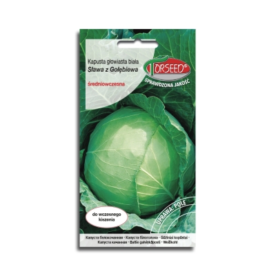 Kapusta Sława z Gołębiewa nasiona kapusty